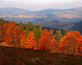 Rozkład jazdy kolei Tobołów w długi weekend