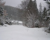 Pierwszy śnieg w Koninkach